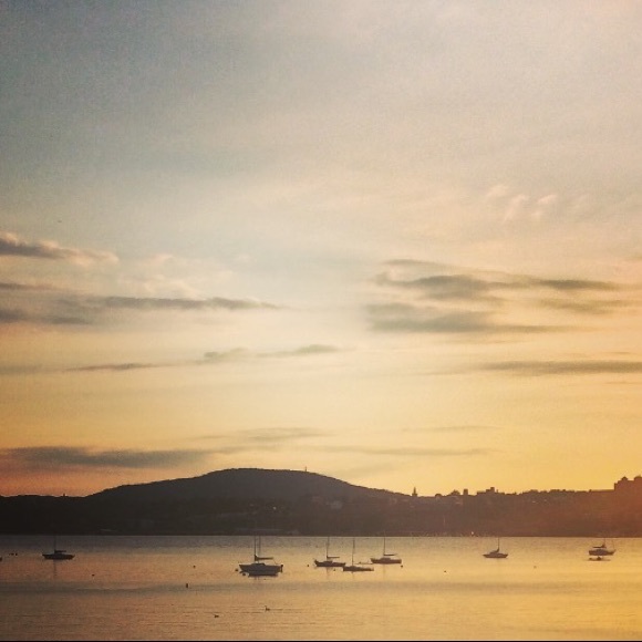 Posh Ambassador II with 5⭐️s and fast shipping! See Reviews ❤️ - Picture 7 of 16